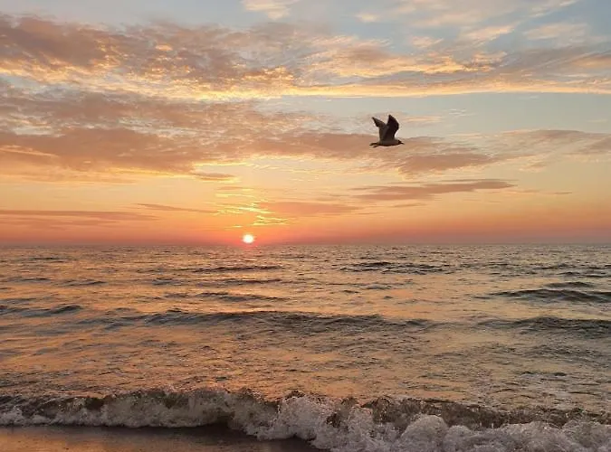 Chata U Eryka Międzywodzie